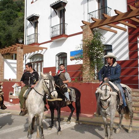 Apartamentos Rurales Mirador De Jubrique Екстер'єр фото