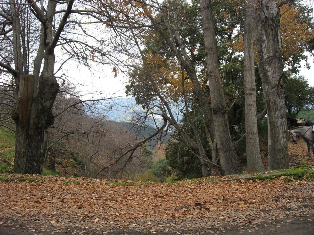 Apartamentos Rurales Mirador De Jubrique Екстер'єр фото